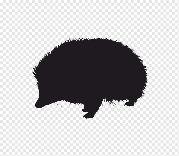 Ежик логотип