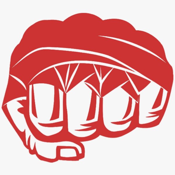 Логотип бойцов