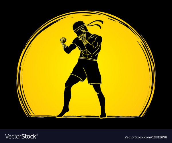 Бокс черно белый вектор