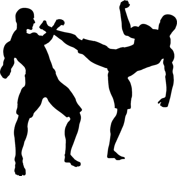 Рыцарские бои на белом фоне