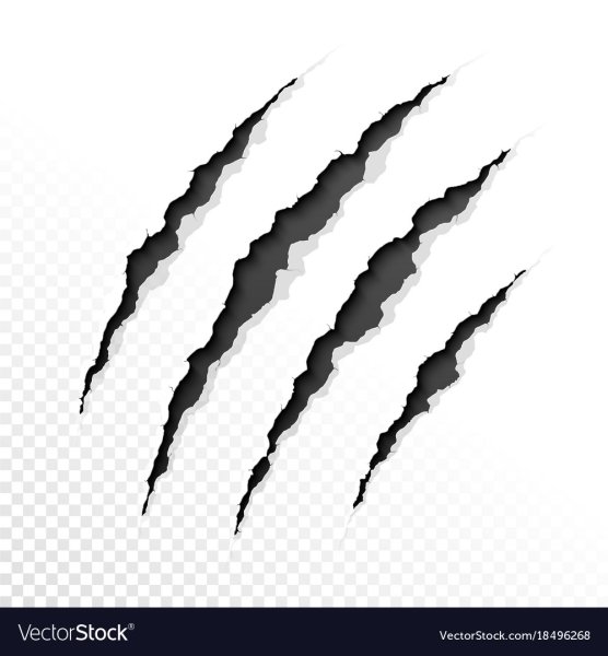 Порезы от когтей