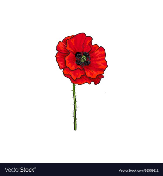 Мак вектор НГ