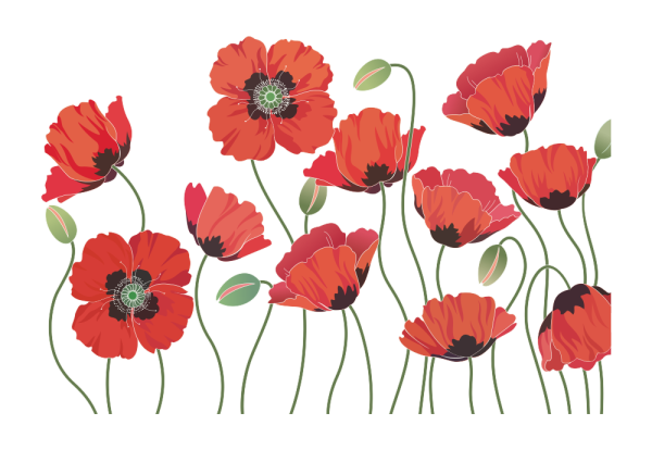 Маки вектор