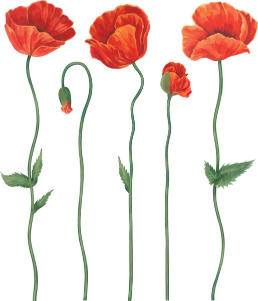 Декоретто d2025 маки