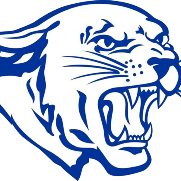 Барс трафарет