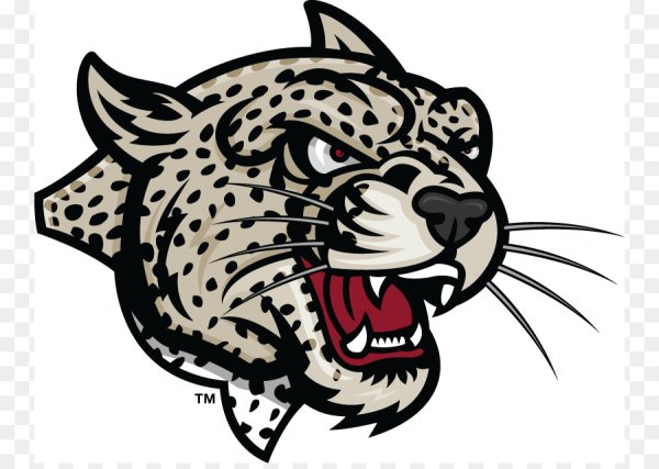 Барс логотип