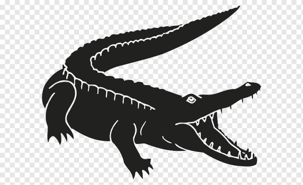 Крокодил на зеленом фоне