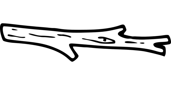 Веточка дерева без листьев