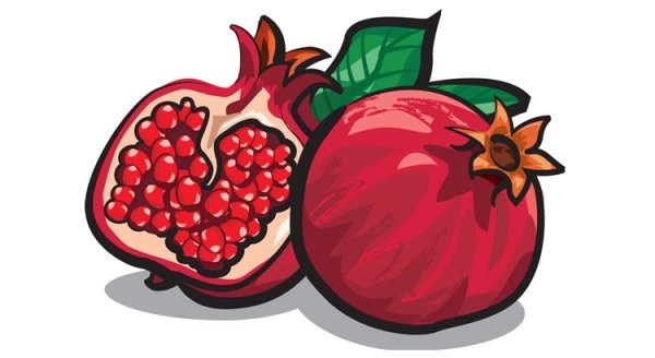 Гранат вектор