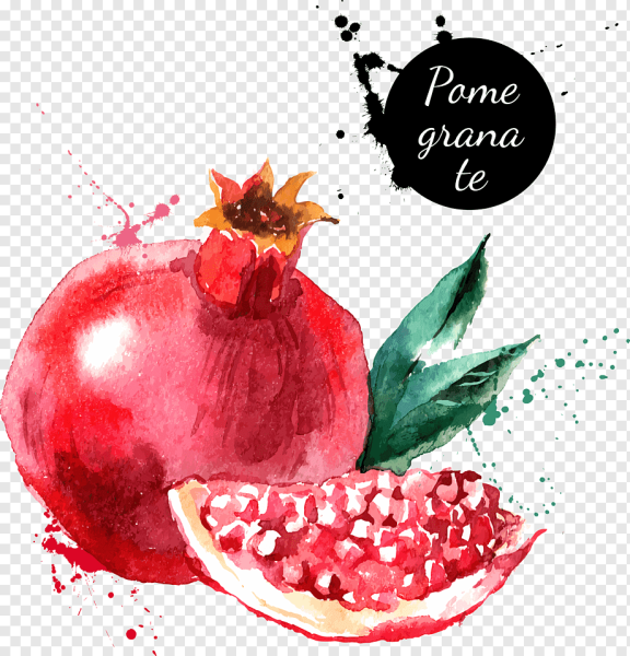 Гранат пиктограмма