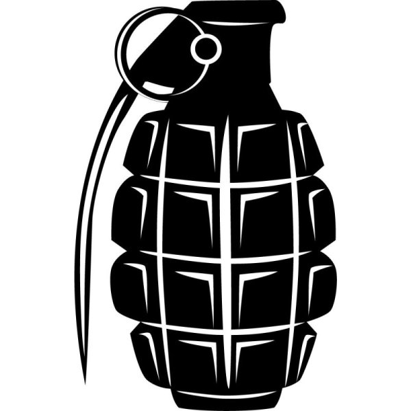 Гранат вектор на белом фоне