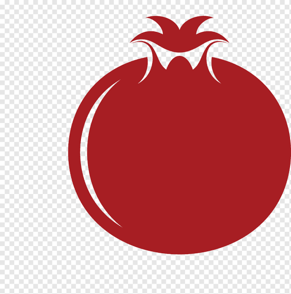 Гранат на ветке вектор