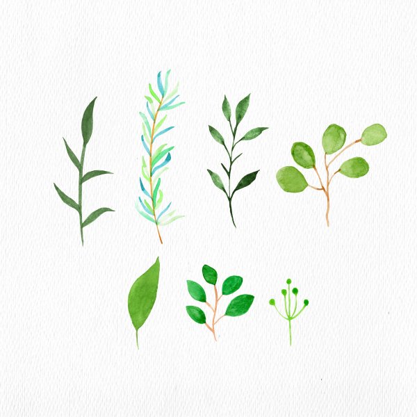 Растительный узор Минимализм