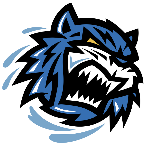 Бриджпорт саунд Тайгерс