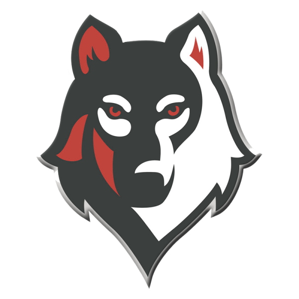 Тим спирит дота 2 логотип