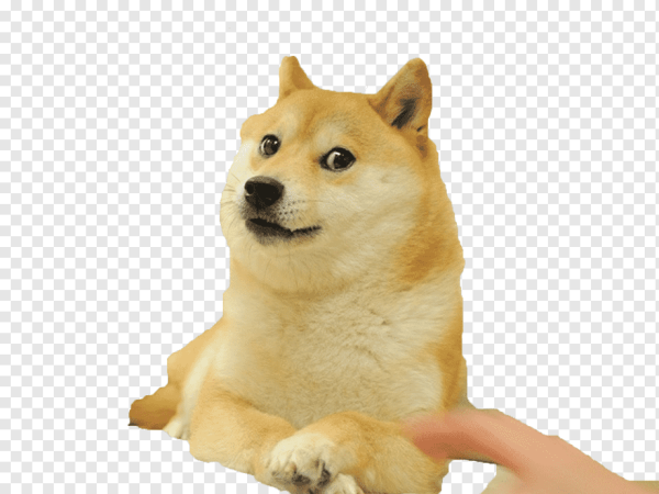 Сиба ину догикоин