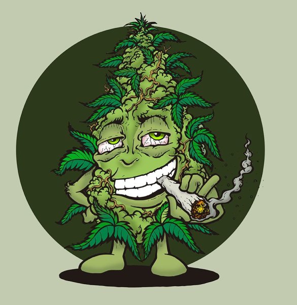 Конопля арты