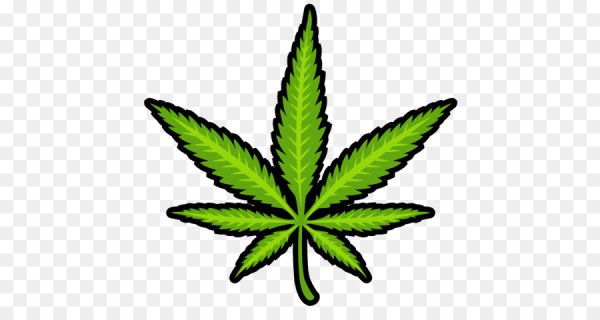 Лист марихуаны/лист каннабиса