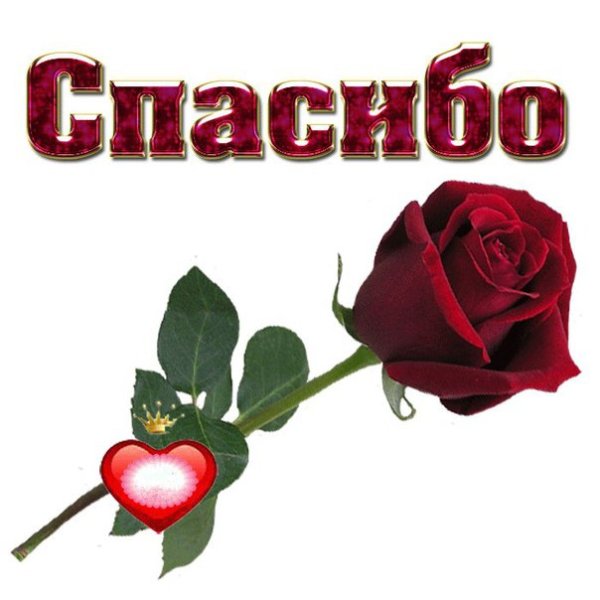 Красивые Стикеры с благодарностью