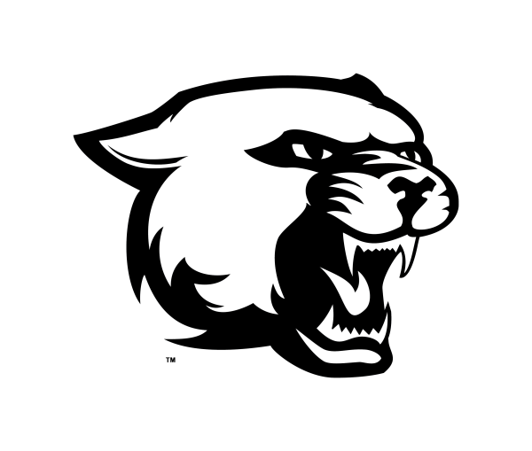 Эскиз логотипа