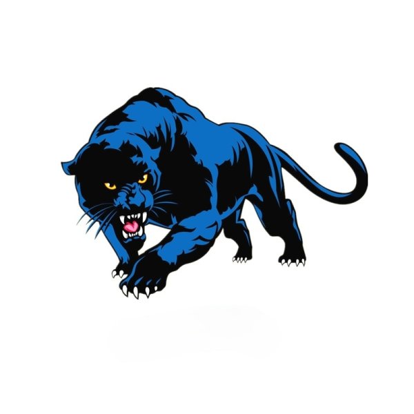 Синяя пантера