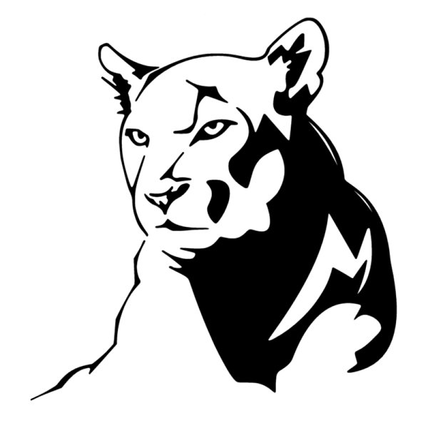 ОДОН пантера