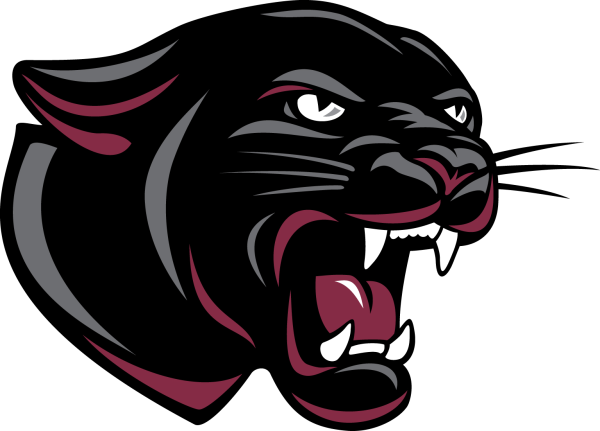 Пантера вектор