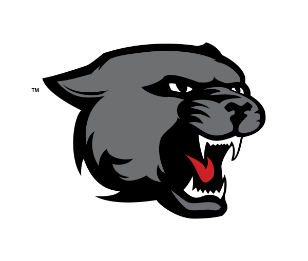 Пантера векторный Формат