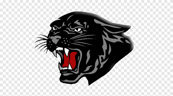 Символ пантеры