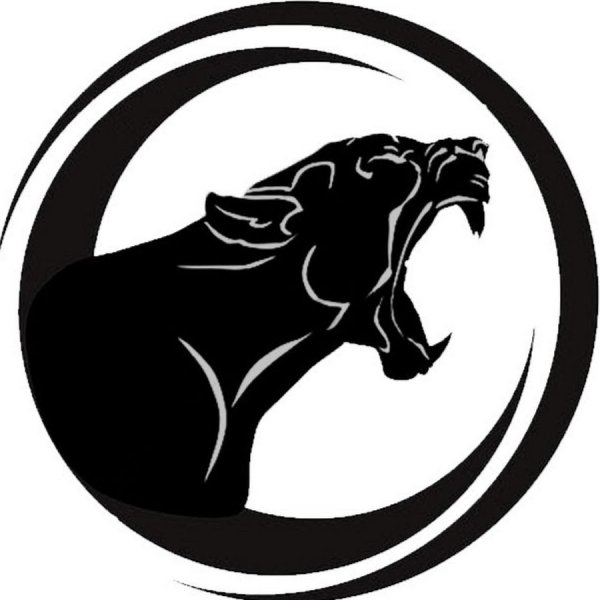 Пума вектор vector Puma