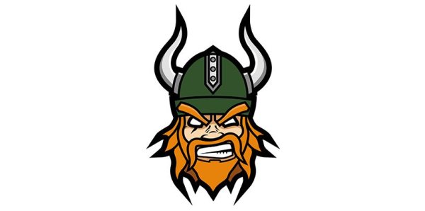 Щит и топор викинга