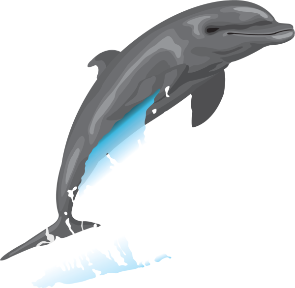 Рисунок веселого дельфина