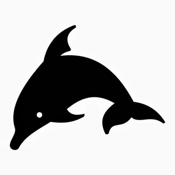 Тату Дельфин черно-белое