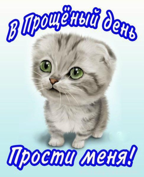 Прошу прощения открытка