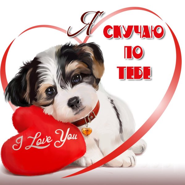 Скучаю по тебе