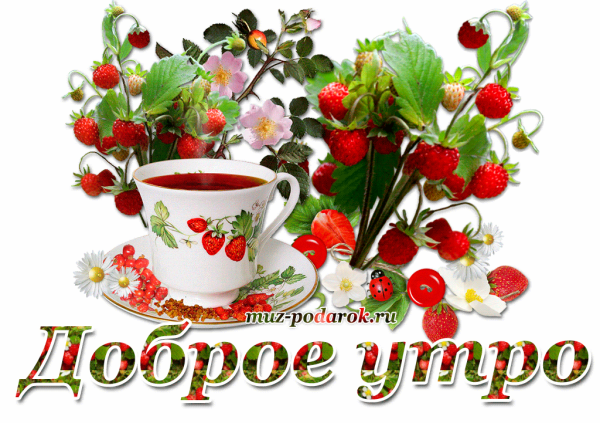 Доброе утро на белом фоне