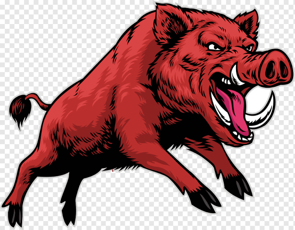 Wild Boards Спартак кабан