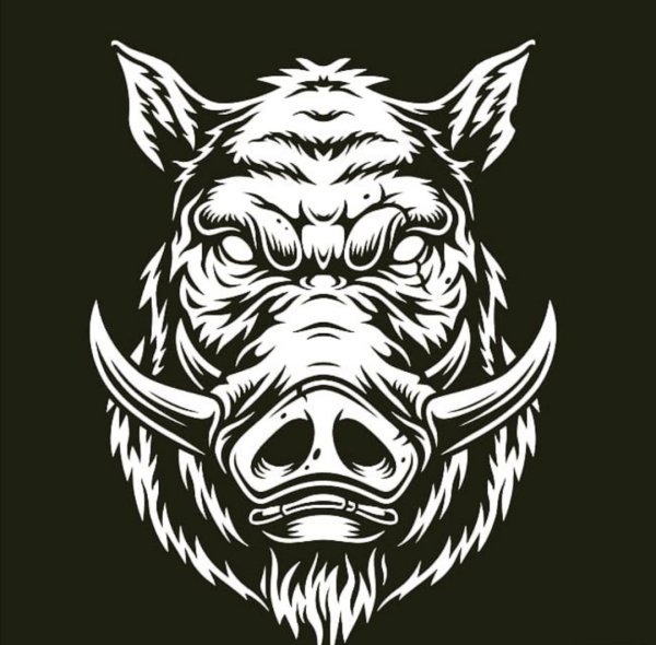 Наклейка морда кабана