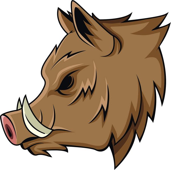 Мультяшный кабан в профиль