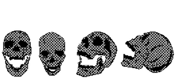 Watch Dogs 2 DEDSEC череп