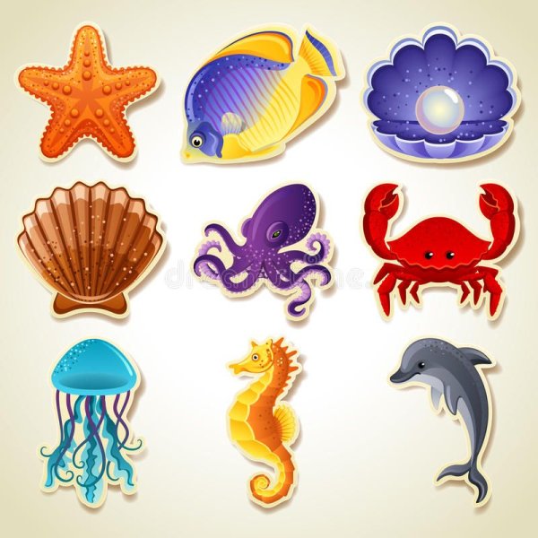 Ракушки для вырезания цветные