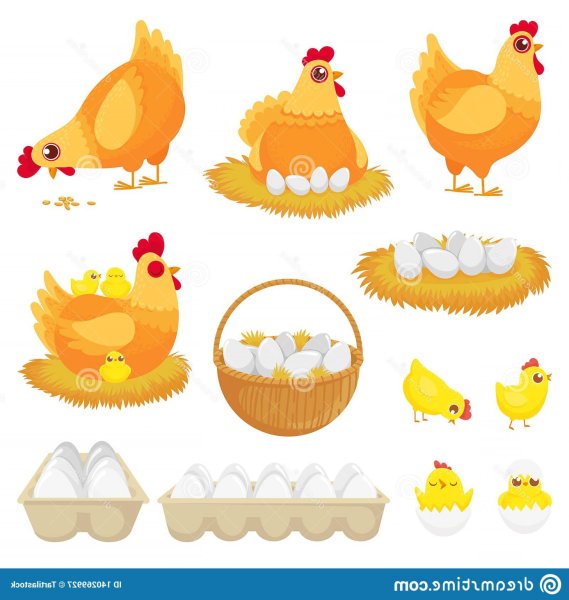Курочка с цыплятами вектор