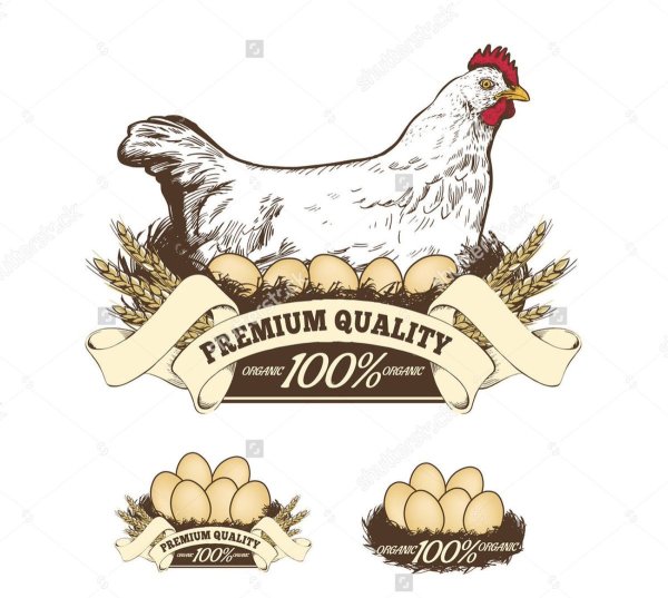 Логотипы для фермы Курц