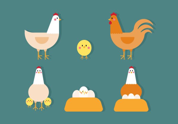 Векторная курица
