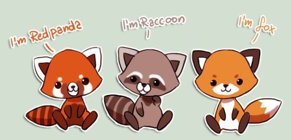 Красная Панда кавай