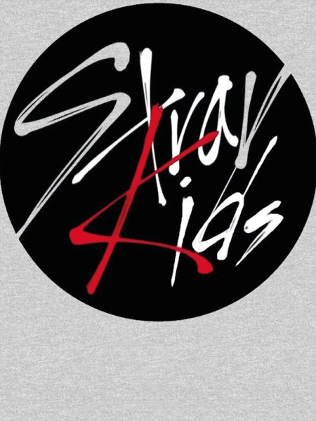 Stray Kids знак группы