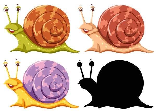 Улитка клипарт на прозрачном фоне