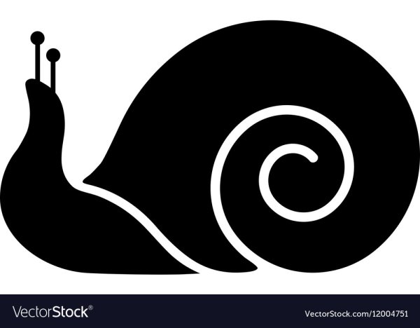Улитка контур