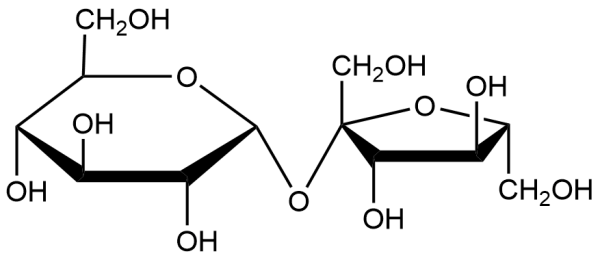 Сахароза и Венти Геншин