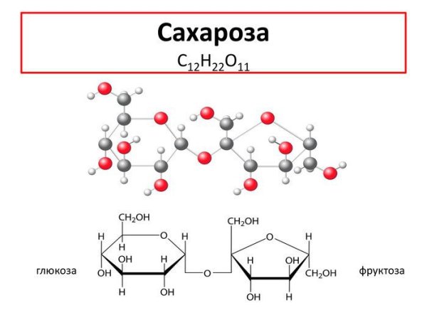 Сахароза Геншин в полный рост